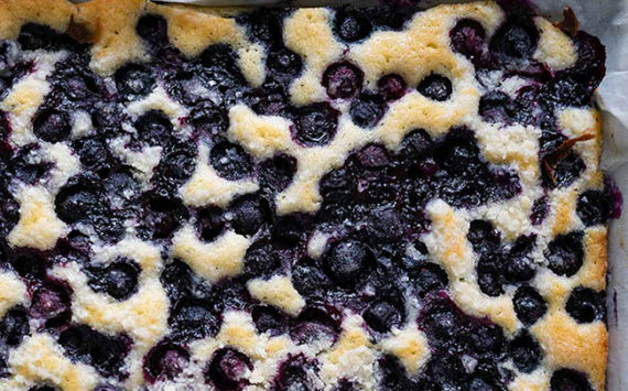 Blueberry Crumb Cake (Czech Recipe)