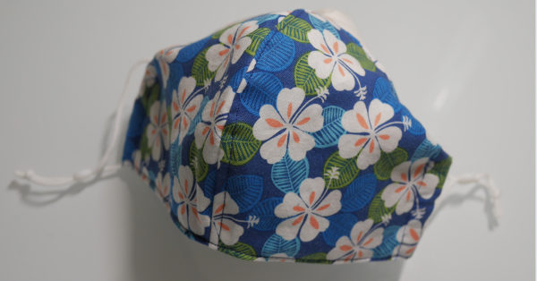 White Hibiscus in Royal Blue